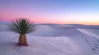 Relaxing White Noise - Drift Away to the Dreamy "Cotton Candy" Desert