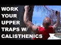 3 Effective Calisthenics Exercises to Work Your Upper Traps and Shoulders