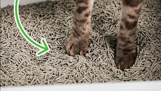 LOW MESS Cat Litter for a Clean Home