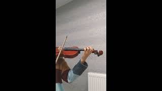 Polyushka polye violin (keman) Resimi