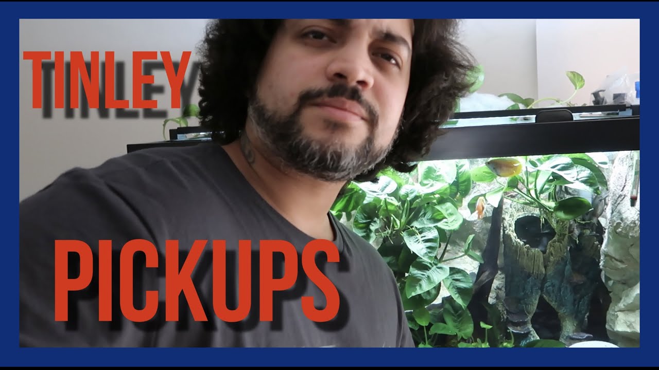 Tinley Park Reptile Show, New Pickup’s! - YouTube