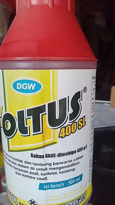 Insektisida FOLTUS 400 SL buat  wereng coklat pada padi#viralvideo #video #tani #tanimodern