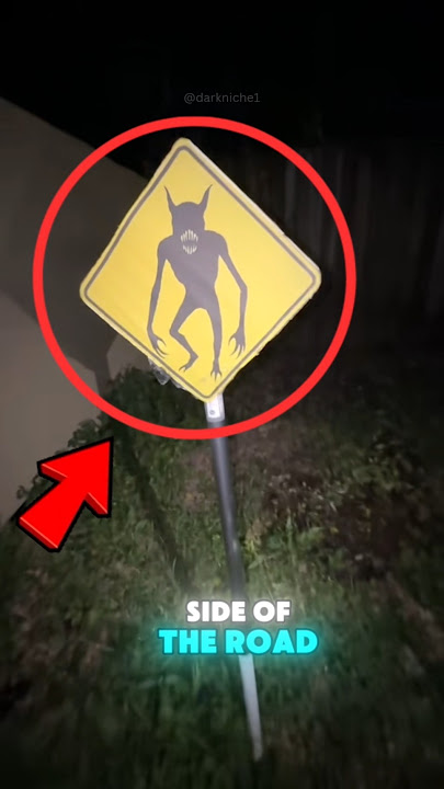 If You Ever See This Sign on the Road… RUN FAST❗️⚠️