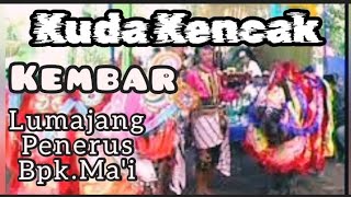Kuda Kencak Kembar Versi Lumajang Penerus Bpk.Ma'i