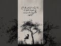 ادا رأيت البياض قد لاح في شعرك
