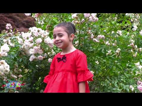 Enki-Benki ენკი-ბენკი \"მხიარული სიმღერები\"