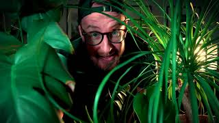 The best ARDUINO PROJECT 2021  Music with plants   learn fast