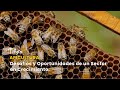 Apicultura: Desafíos y Oportunidades de un Sector en Crecimiento - TvAgro por Juan Gonzalo Angel