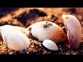 Ottmar Liebert - Heart Still Beating