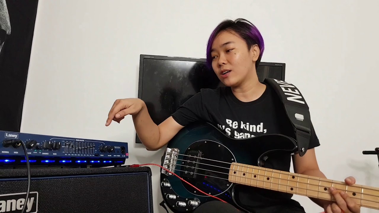 Laney R500H Bass Ampli Review