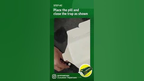 How to trap Cockroach without poison | 2022 | #shorts