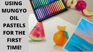 How to use Mungyo Gallery Soft Oil Pastels (unboxing, review, blending tips, paper, sketchbook tour) screenshot 5