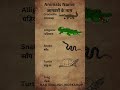 Water Animals#shorts#english #spokenenglish #education #vocabulary #viral #ytshorts