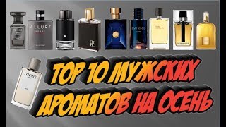 : Top 10    