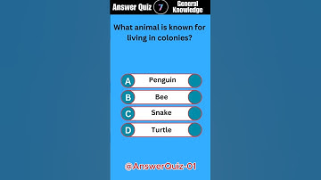 How Good Is Your General Knowledge? This 5-question Quiz To Find Out! #Challenge 10