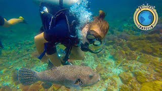 Ko Lanta The BEST Scuba Diving In Thailand : Travel Vlog 53