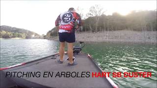 Vídeo: Medalhas Spinnerbait Duster