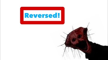 Boiled one phenomenon reversed (WITH SUBTITLES)