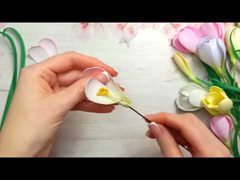 КРОКУСЫ ИЗ ФОАМИРАНА