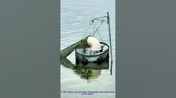 Homemade Crab Trap: Catch Crabs in Water Easily