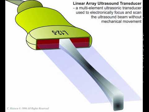 Ultrasound Transducer ANIMATION - Linear Array Ultrasound Transducer ...