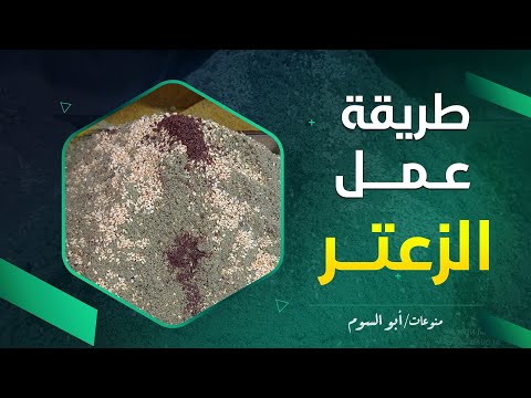 طريقة تحضير الزعتر الخليلي البلدي بالسمسم الزعتر الفلسطيني البلدي بالسمسم