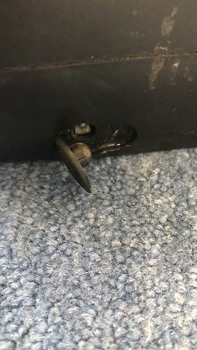 www.youtube.com