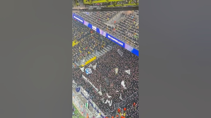 Sturm Graz Fans vs Marcel Sabitzer in Dortmund 05.11.2024