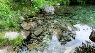 Sounds of Nature, Birds Singing, Sounds of Creek, for Relaxation, Sleep, Meditation, 8 hours