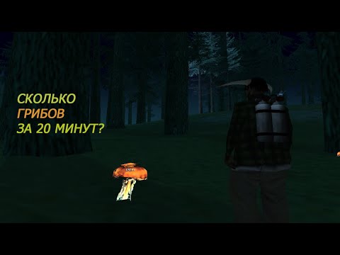 СКОЛЬКО ГРИБОВ ЛСД МОЖНО НАЙТИ В ЛЕСУ ЗА 20 МИНУТ? | Sampik