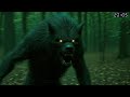 REAL DOGMAN CAUGHT ON SURVEILLANCE FOOTAGE | True Scary Stories That Will Keep You Up