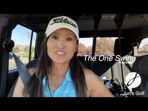 The One Swing