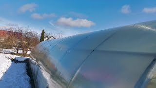 Когда переезжать в теплицу?