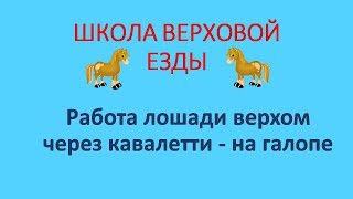 Работа лошади верхом через кавалетти на галопе Работа лошади верхом через кавалетти на галопе