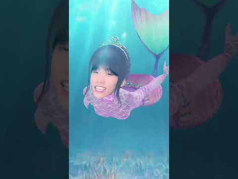 Under the water