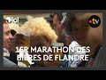 Ref:8h_fn_cksH4 Rsum du 1 marathon des bires de flandre  bergues