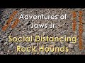 Social Distancing Rock Hounds - Willamette River Rockhounding - ZERO contact with others!!