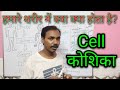 Human body, Cell