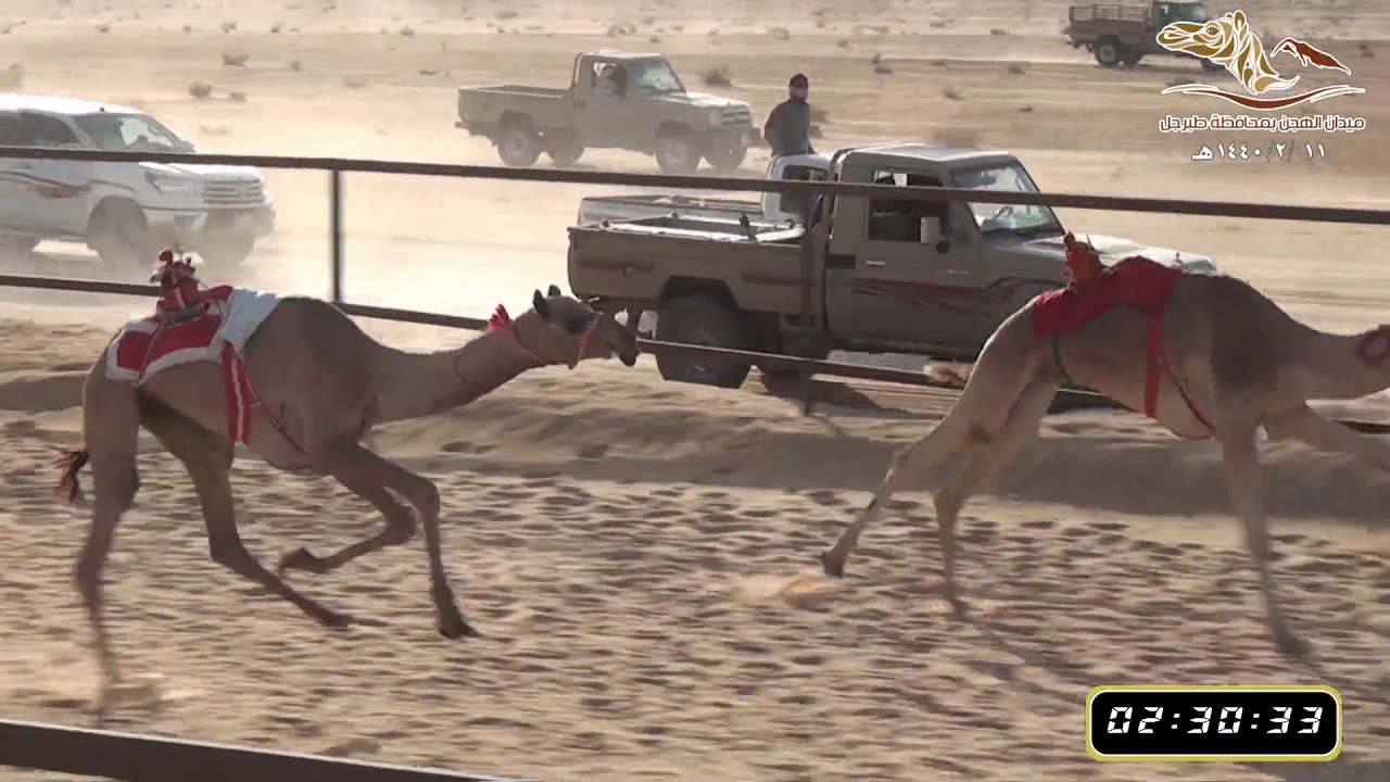 فوز ( مهول ) لصاحبه/سعد بن حمدان الشمري - بميدان الهجن بطبرجل1440/2/11 هـ