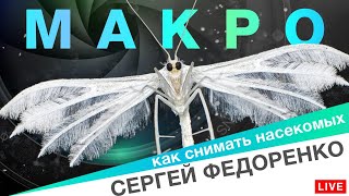 видео: Макрофотография. От телефона до микроскопа — полный обзор оборудования для макро картинка: Макрофотография. От телефона до микроскопа — полный обзор оборудования для макро