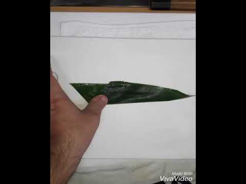 笹切り(基本)関所