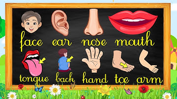 Dạy Bé học nhận biết các bộ phận trên cơ thể bằng song ngữ | Từ vựng tiếng anh cho trẻ em