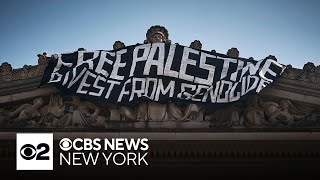 ProPalestinian demonstrators swarm Brooklyn Museum