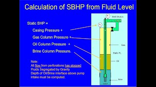 Ask Echometer Session 4   SBHP Part 1 Jun 10 2020