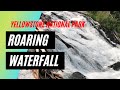 Roaring Waterfall | Yellowstone NP | Lewis Falls (10-min)