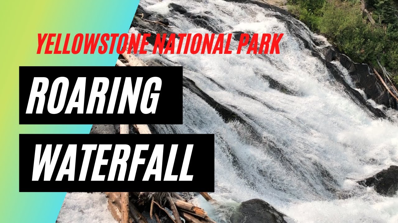 Roaring Waterfall | Yellowstone NP | Lewis Falls (10-min)