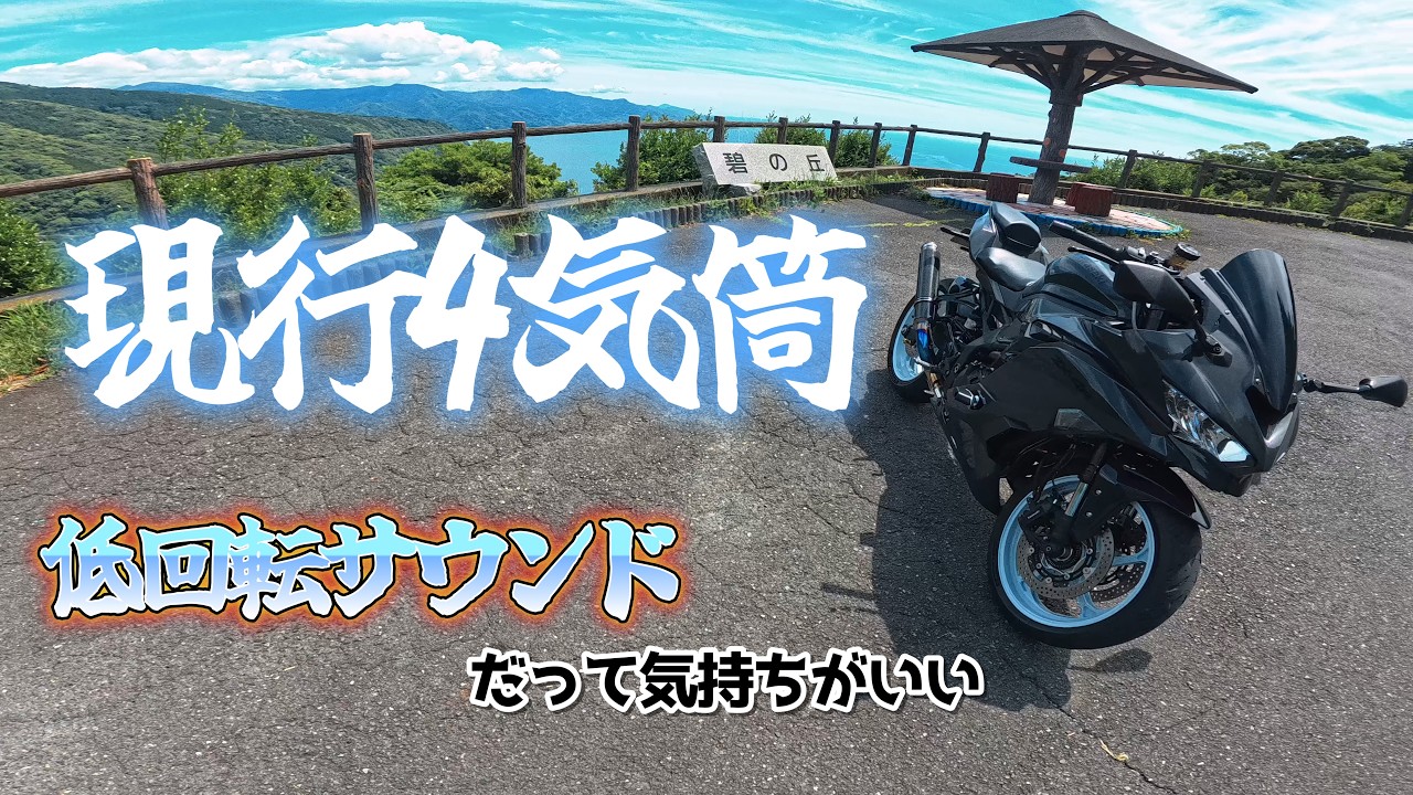 現行4気筒】この音を聞くためにバイクに乗る！！Kawasaki ZX-4R POV