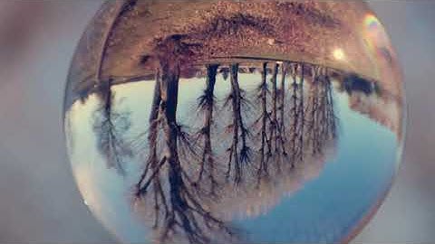 Week of Prayer for Christian Unity 2022 day 3