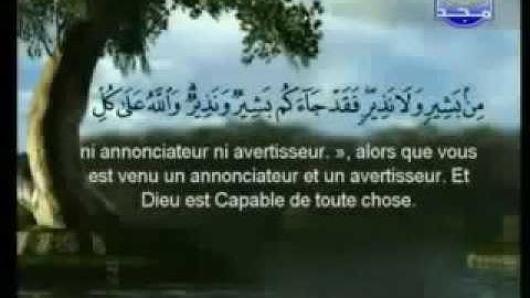 سورة المائدة |الشيخ السديس والشريم AlMa'idah|Sudais & Shuraim