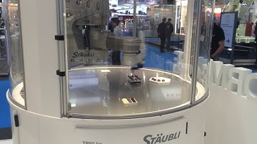 Stäubli FAST picker TP80 he